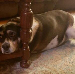 Meet your Posher, Melody